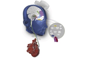Neuro-Cardiac-Guided Transcranial Magnetic Stimulation